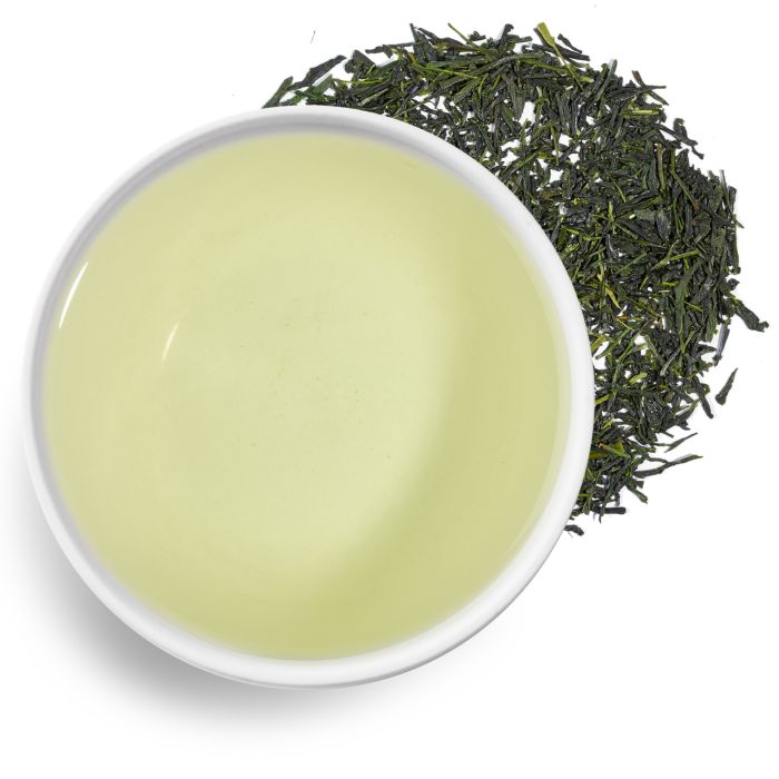 Morimoto Shincha 2025 main product photo
