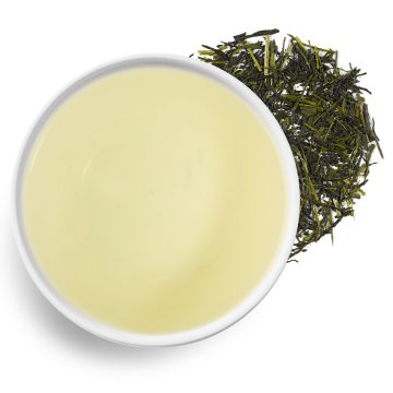 Morimoto Gyokuro