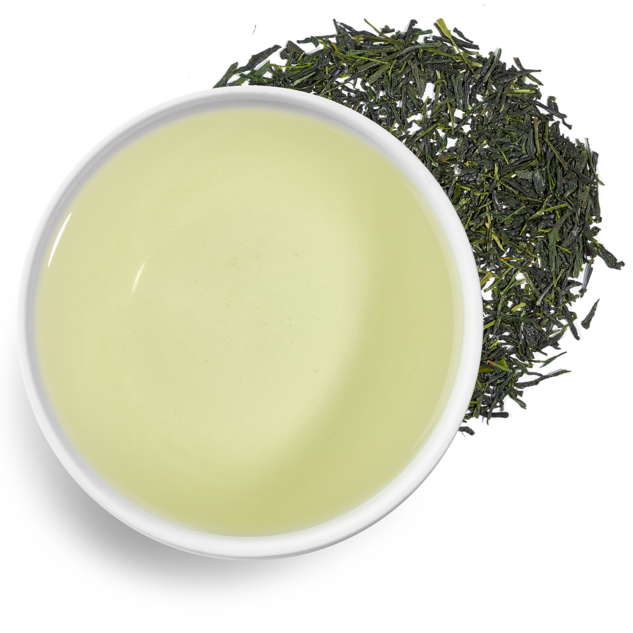 Morimoto Shincha 2025